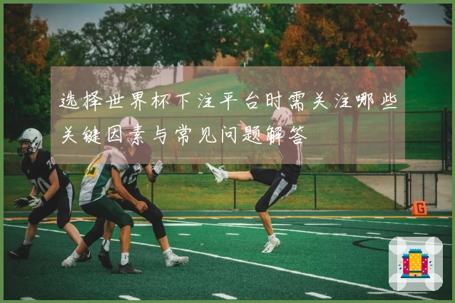 选择世界杯下注平台时需关注哪些关键因素与常见问题解答