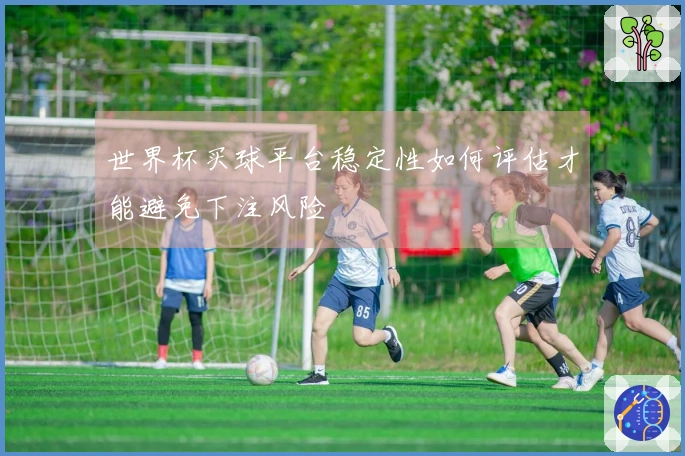 世界杯买球平台稳定性如何评估才能避免下注风险