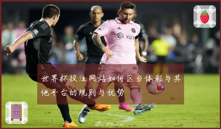 世界杯投注网站如何区分体彩与其他平台的规则与优势