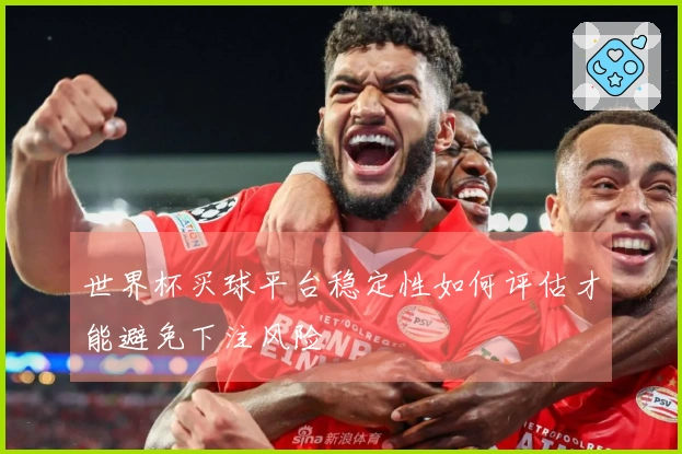 世界杯买球平台稳定性如何评估才能避免下注风险