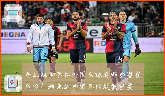 手机端世界杯外围买球有哪些潜在风险?避免这些常见问题很重要